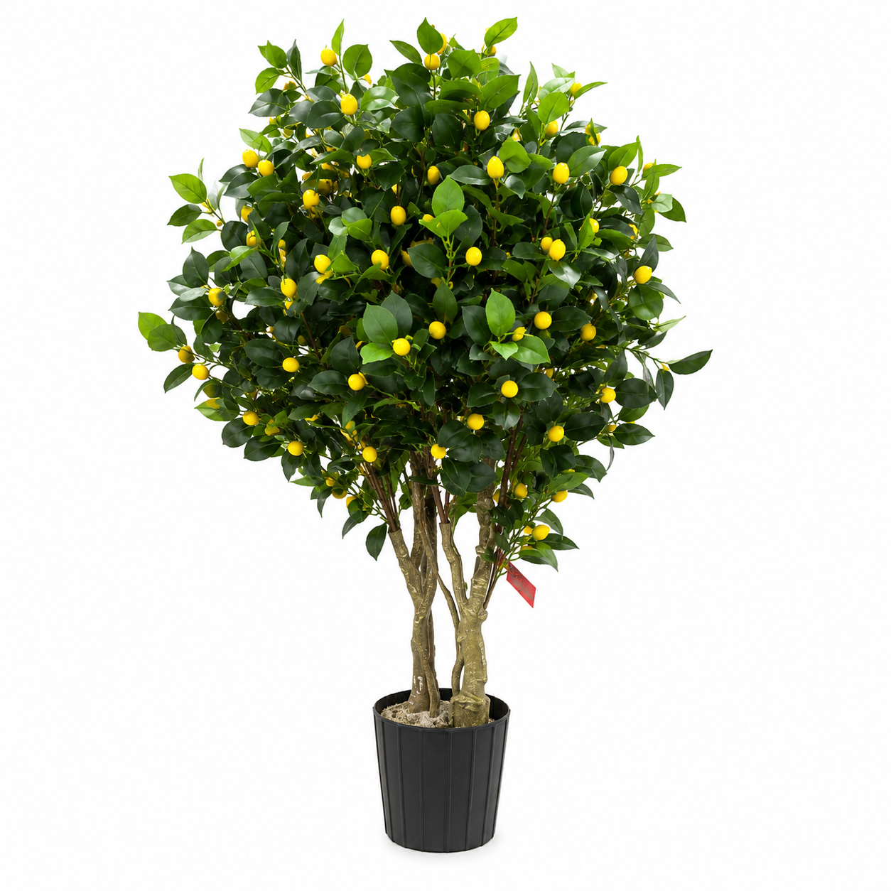 Lemonia Verde mű citromfa fekete kaspóban 110 cm