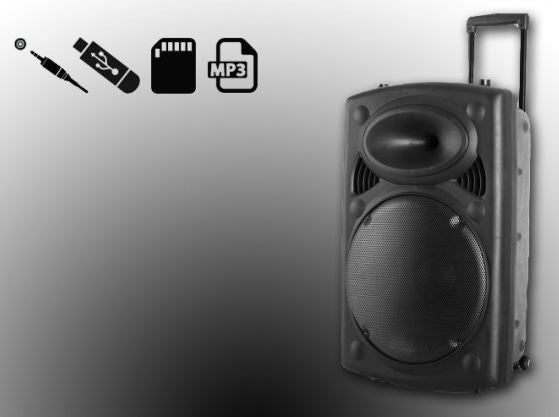 AlphaOne P12 Professzionális Akkumulátoros aktív Hangfal Ajándék vezeték nélküli mikrofonnal - Legyen tiéd a leghangosabb buli!